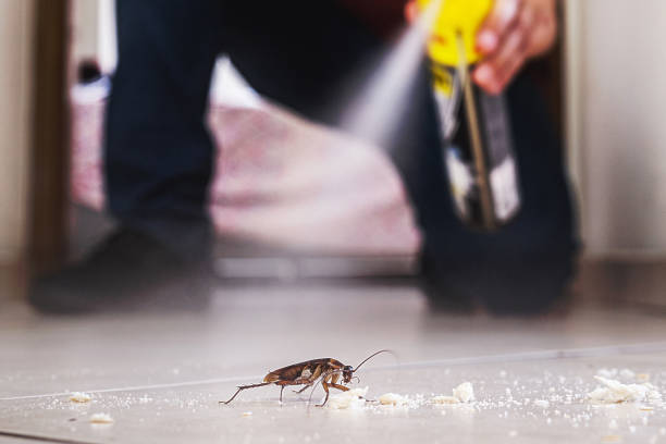 Best Cockroach Control Services  in Pahoa, HI